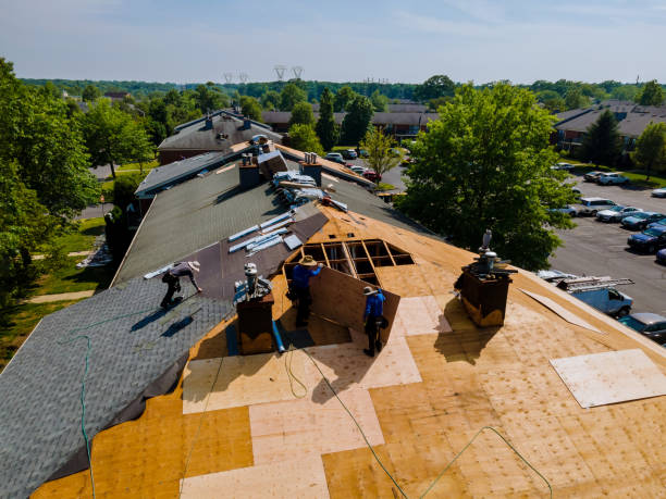 Trusted Emergency Roof Repair service in Rodeo, CA - Brentwood Metal Roofing